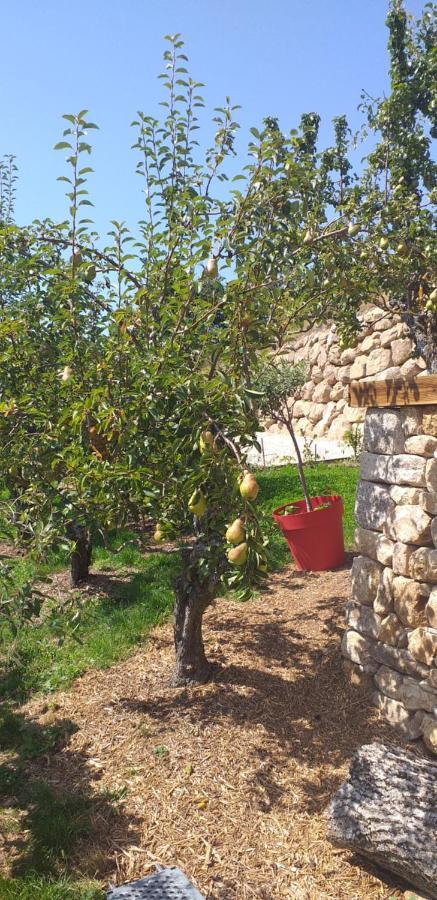 Gites De L'Alouette Boffres Екстериор снимка